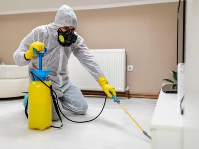 Απεντόμωση & Μυοκτονία Πολυκατοικίας: Πρόγραμμα Προστασίας